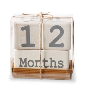 Mud Pie Milestone Blocks